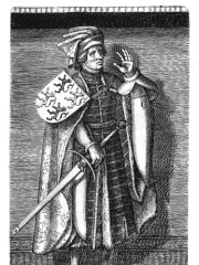 Photo of William I, Count of Hainaut