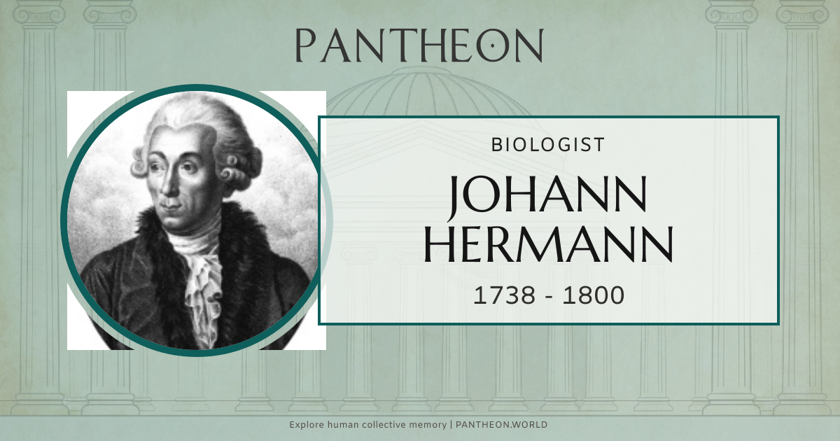 Johann Hermann Biography | Pantheon