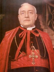 Photo of Benedetto Aloisi Masella