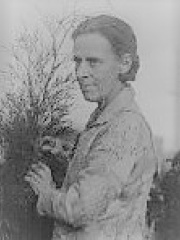 Photo of Marion Mahony Griffin