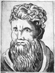 Photo of Sphaerus