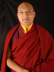 Photo of Ogyen Trinley Dorje