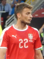 Photo of Adem Ljajić