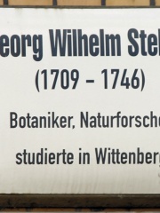 Photo of Georg Wilhelm Steller