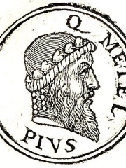 Photo of Quintus Caecilius Metellus Pius