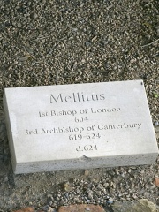 Photo of Mellitus