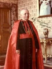 Photo of Amleto Giovanni Cicognani