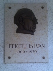 Photo of István Fekete