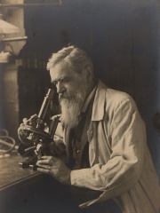 Photo of Otto Bütschli