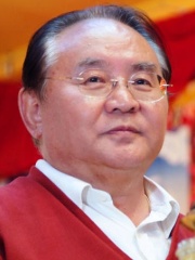 Photo of Sogyal Rinpoche