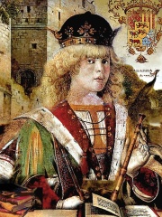 Photo of Francis Phoebus of Navarre