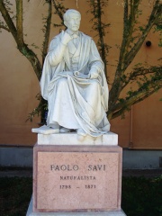 Photo of Paolo Savi