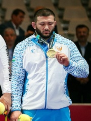 Photo of Davit Modzmanashvili