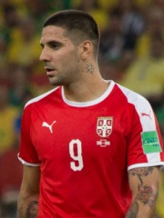 Photo of Aleksandar Mitrović