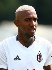 Photo of Talisca