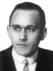 Photo of Kálmán Tihanyi