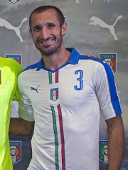 Photo of Giorgio Chiellini