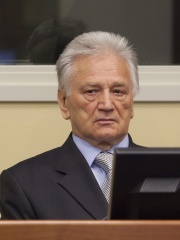 Photo of Momčilo Perišić