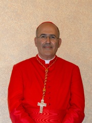 Photo of José Tolentino de Mendonça