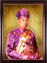 Photo of Hisamuddin of Selangor