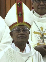 Photo of Anicetus Bongsu Antonius Sinaga
