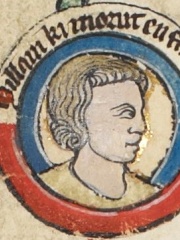 Photo of William IX, Count of Poitiers