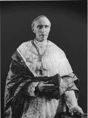 Photo of Désiré-Joseph Mercier