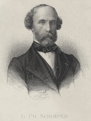Photo of Wilhelm Philippe Schimper