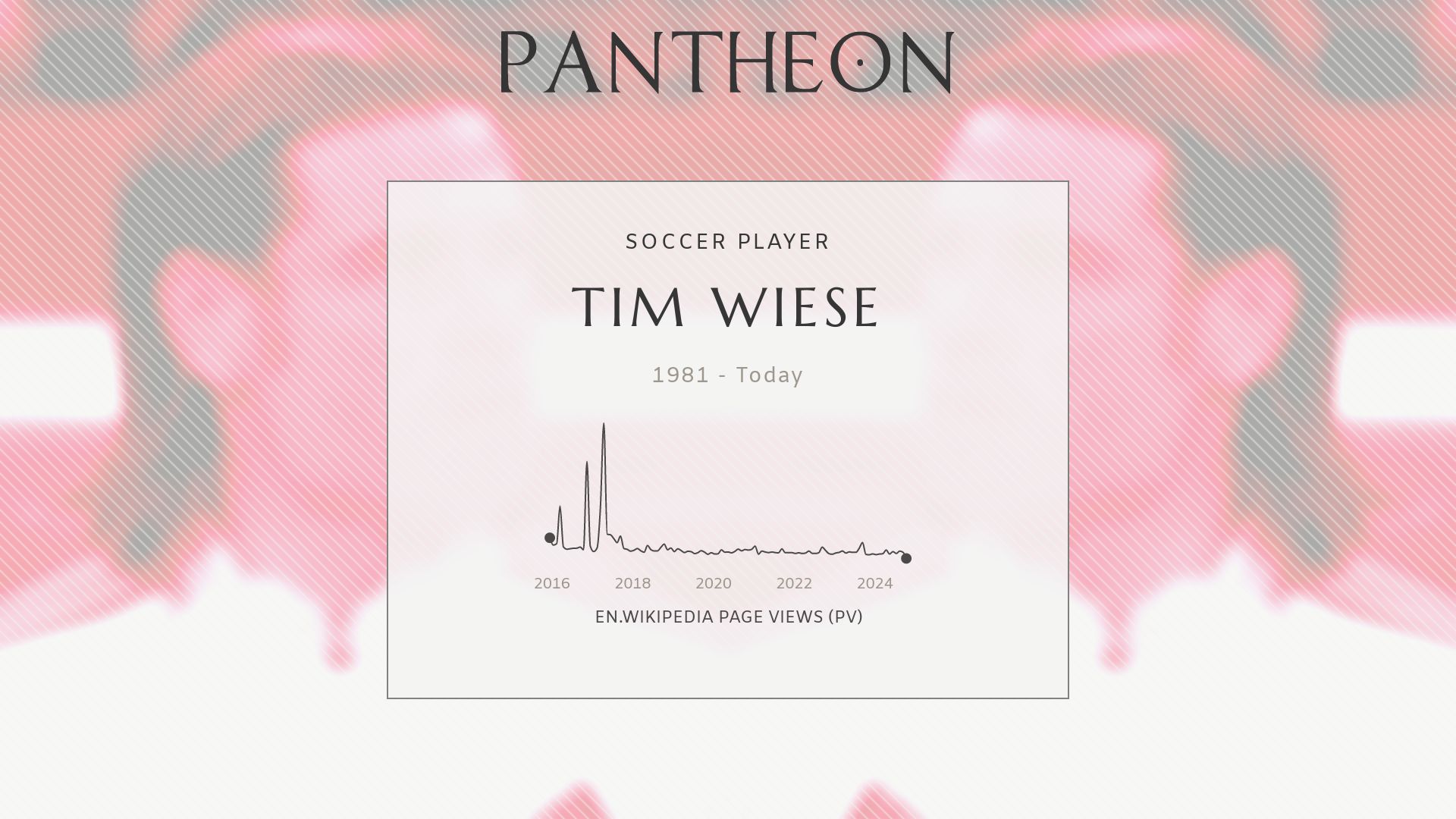 faktum hensynsløs Robust Tim Wiese Biography - German footballer | Pantheon